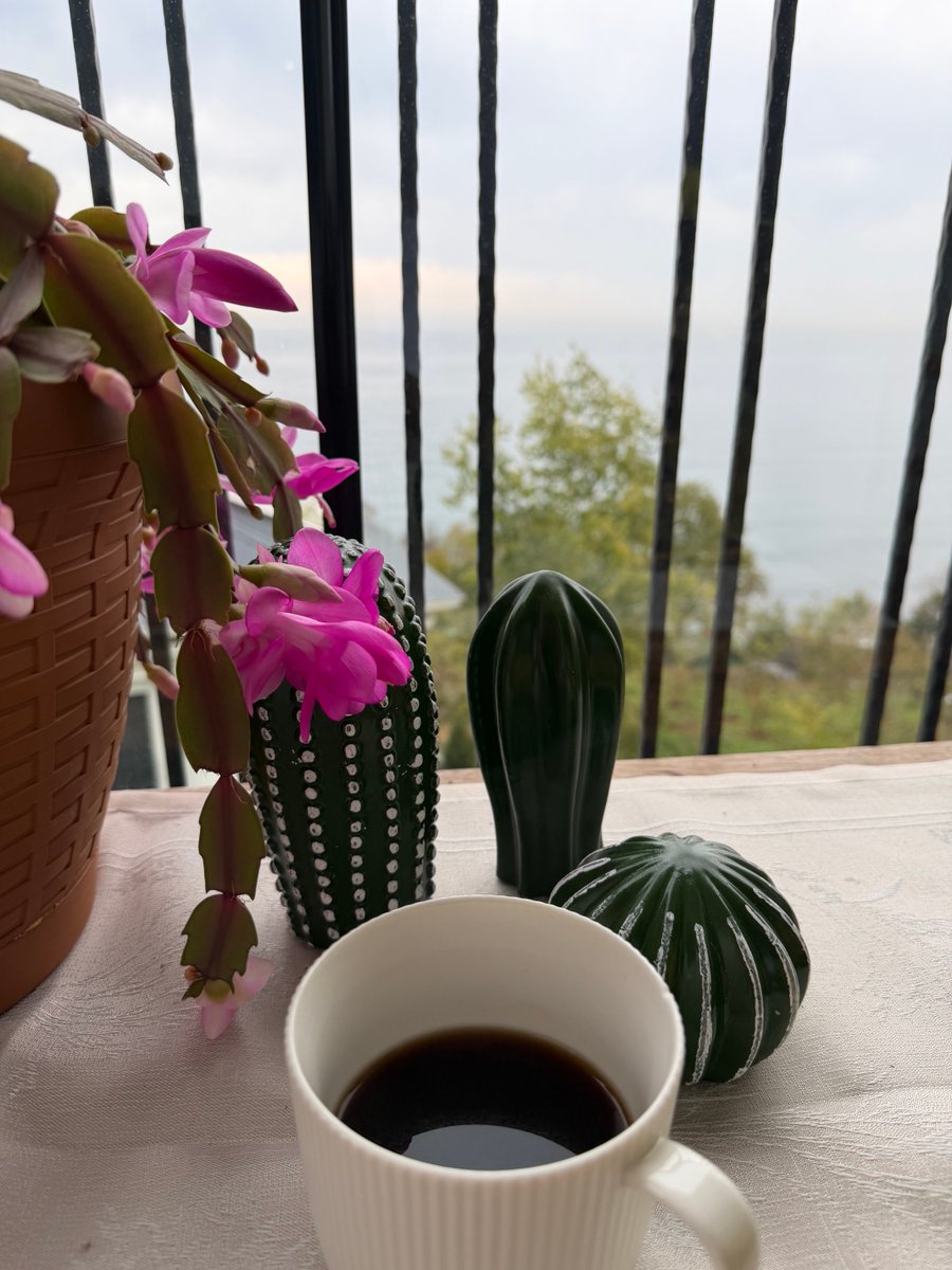 Sert bir kıştı. Kolay olmadı ama yine de ilkbaharı gördük,yaz içimizi ısıttı. Ve şimdi güzel sonbahara veda ederken sessizce fısıldıyor doğa; kışın da çiçek açar insanın gönlünde. Şükür bugünümüze.Sağlıkla huzurla  uyandığımız her güne…