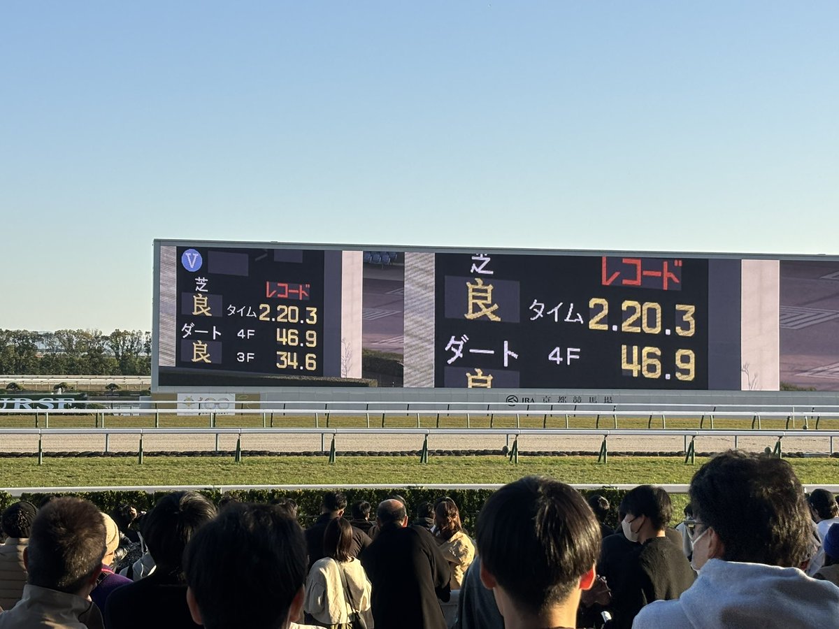 マシュマロ (@shizu_iloveyou) / Posts / X