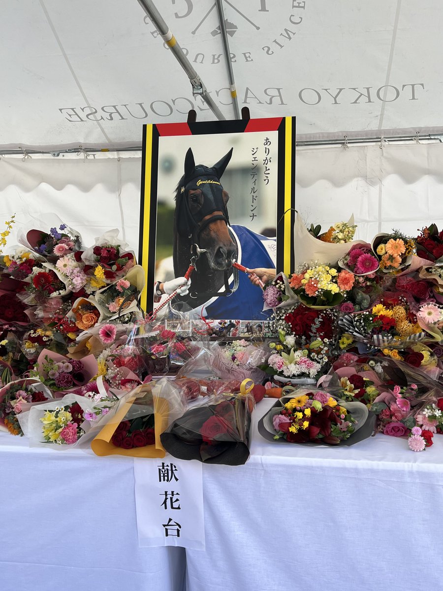 ジェンティルドンナさん拝んできました まさかジャパンカップの日になぁ…