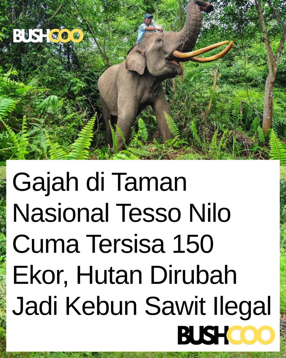 somexthread's tweet image. 🤧