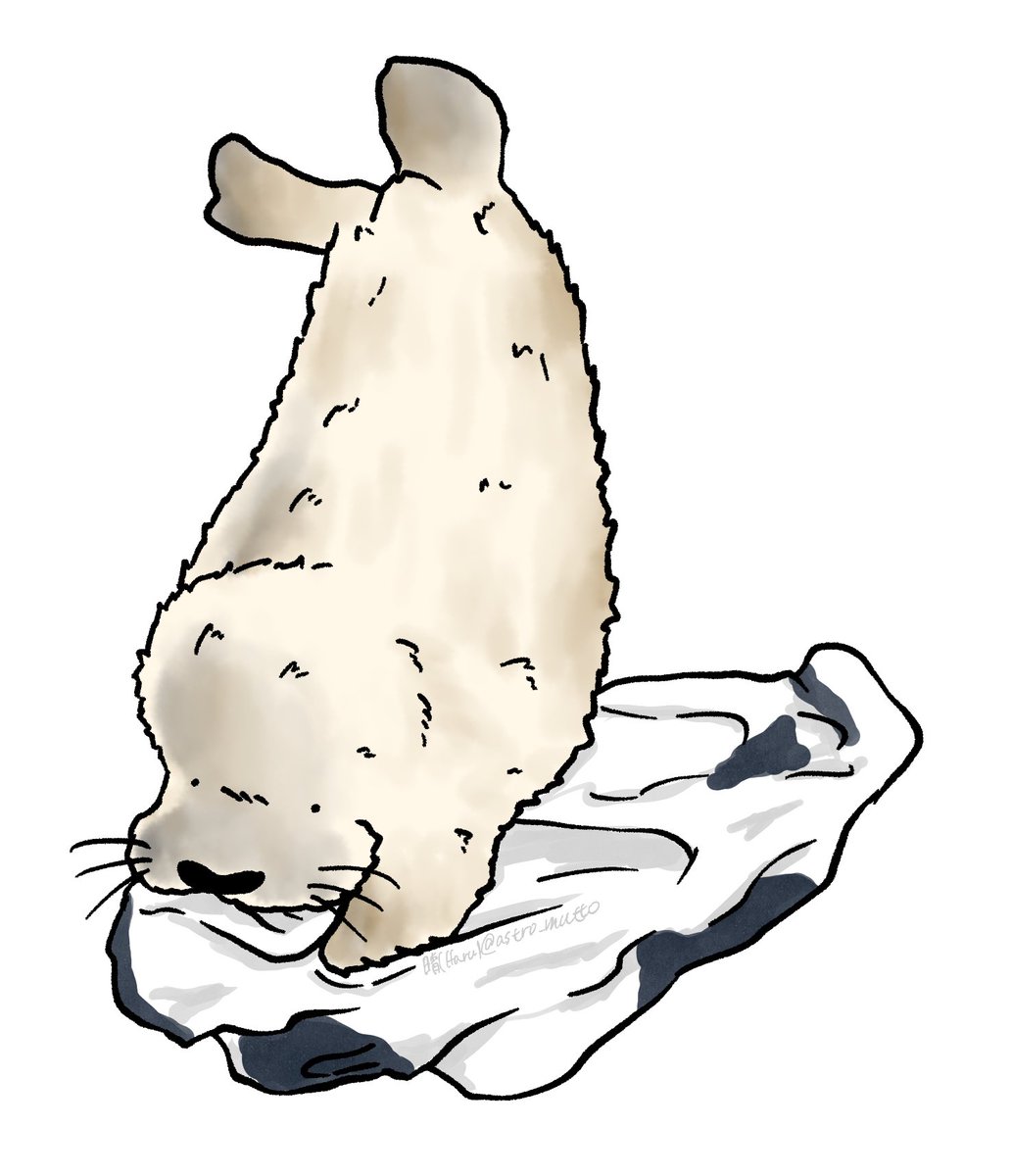 11/28の様子。タオルもハミハミしますよ

Nov 28. Dropje Loves Chewing Towels Too

Seals live | Phase 1(フェーズ1配信)↓
youtube.com/live/Zc3kLqk8F…

#アザラシ幼稚園 #zeehondencentrum #Werelderfgoedcentrum #WECWaddenzee