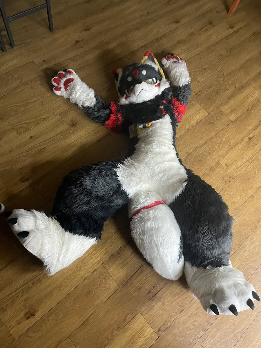 青星(Sirius) (@FurPokezan9501) / Posts / X