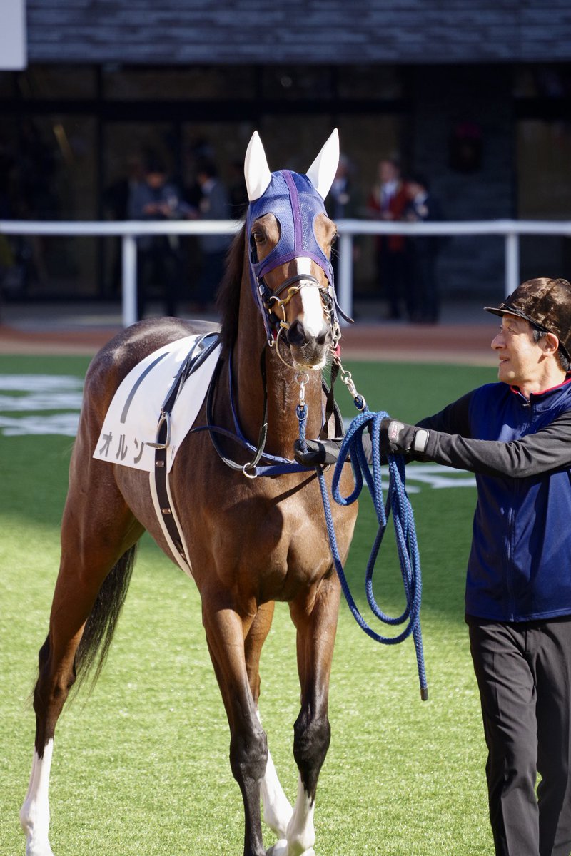 メイクデビュー京都