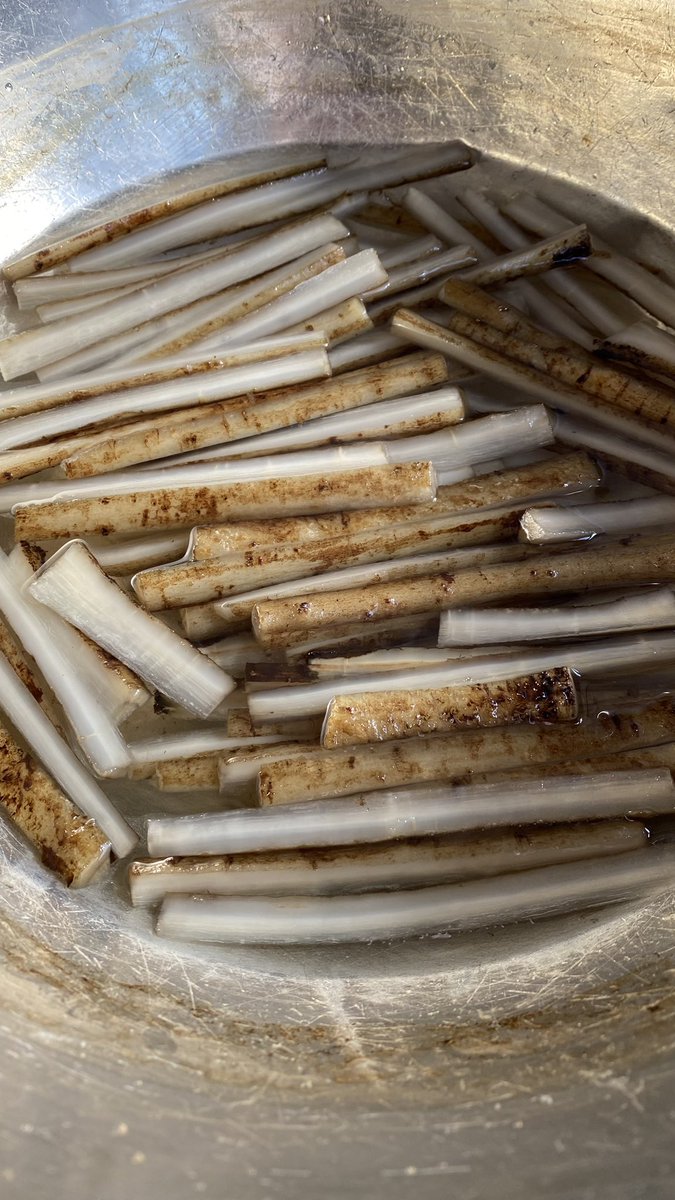 ごぼうの蜜漬けを試作中。

和菓子にごぼう⁉️
って思うかもしれません。

お正月の和菓子なのですが、何割くらいの方が知ってるんでしょうかね？