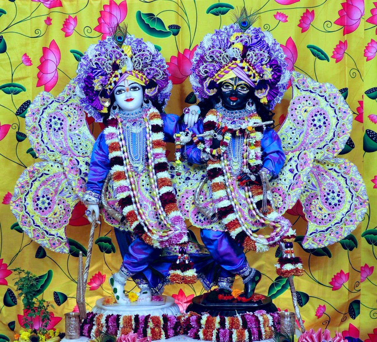 Jai shree Krishna ❤️❤️