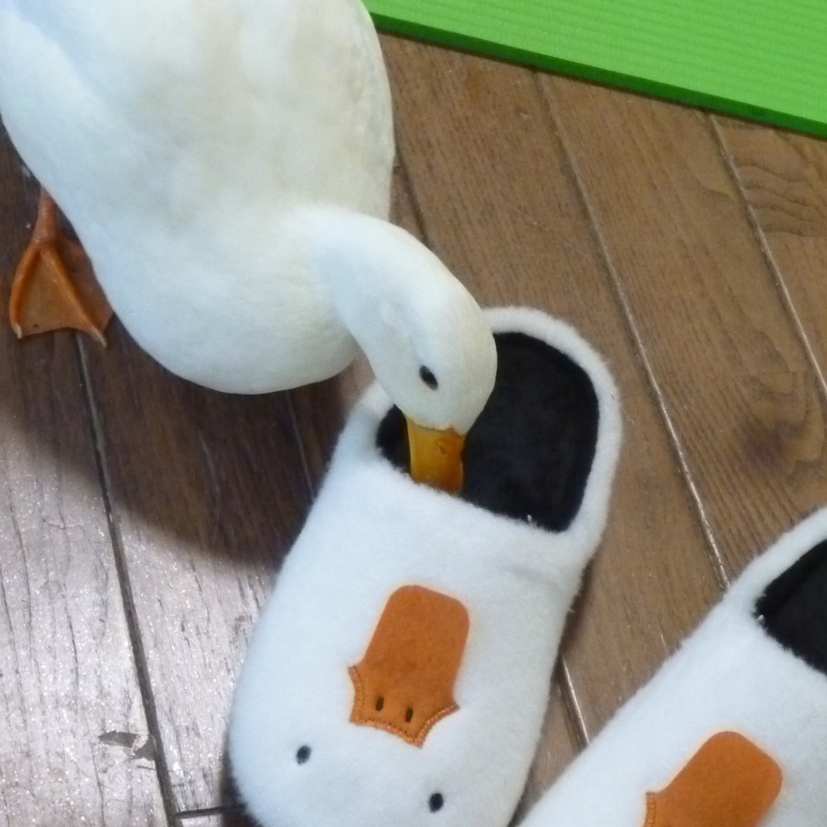 pu_ti_66em's tweet image. しまむら４件目にしてついにゲット
早速チェックが入りました