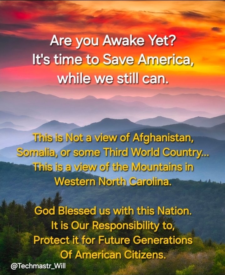 techmastr_will's tweet image. America is not some 3rd World Country. It is Our Responsibility to preserve our Constitution, and America for Future Generations. 
Get the Muslim, and Somali Ped0philes and Inbr*eeding Savages out of the United States. 
They fully intend to overthrow our system of Government.