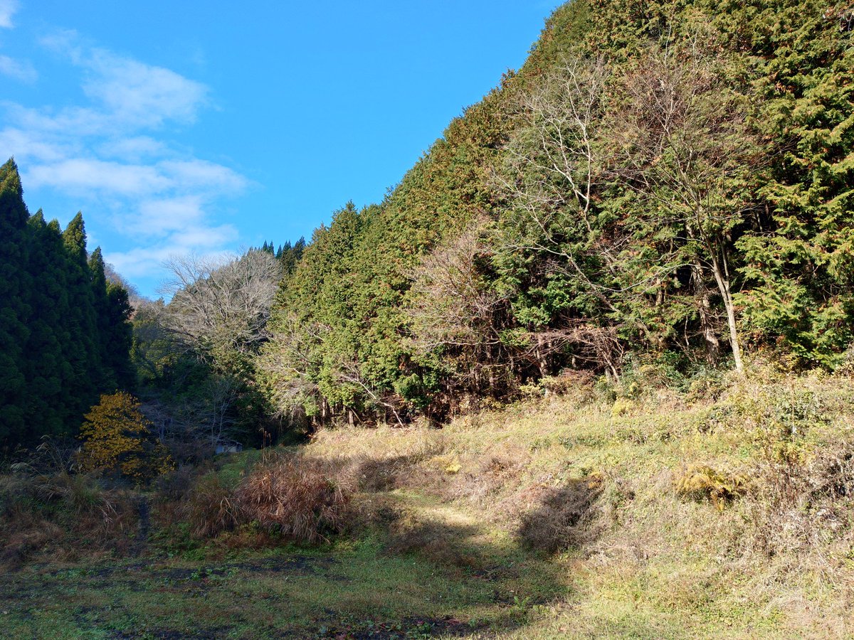 ティックス tweet media