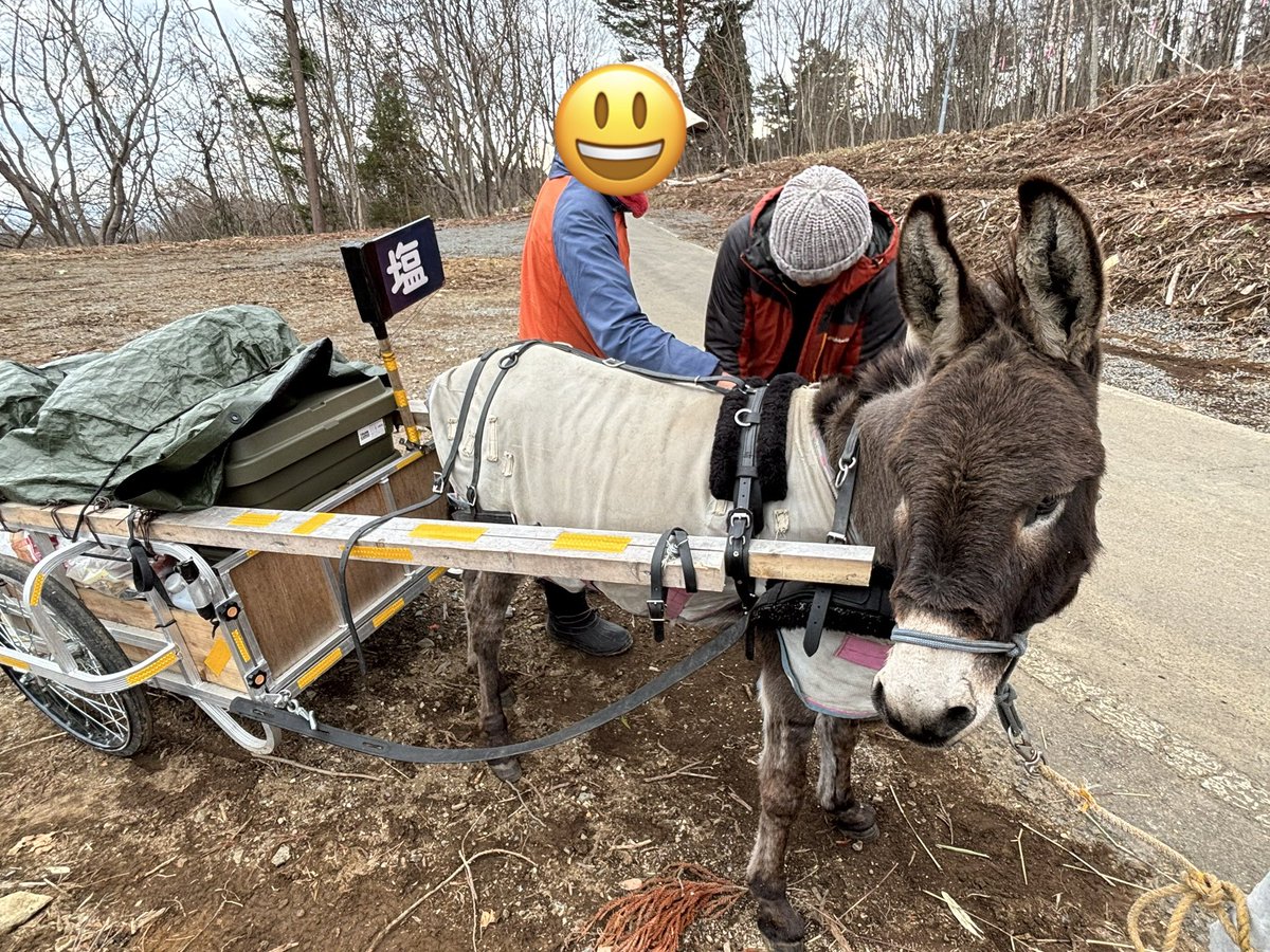 taromar_u's tweet image. クサツネ本にも登場する遠野市の馬方・岩間さんと牛方・林さんが駆けつけてくれて、リヤカーを改良してもらいました。これまでリヤカーや馬具の扱いは自己流だったのですが、やはり長年やってきた人の目線は勉強になります。
