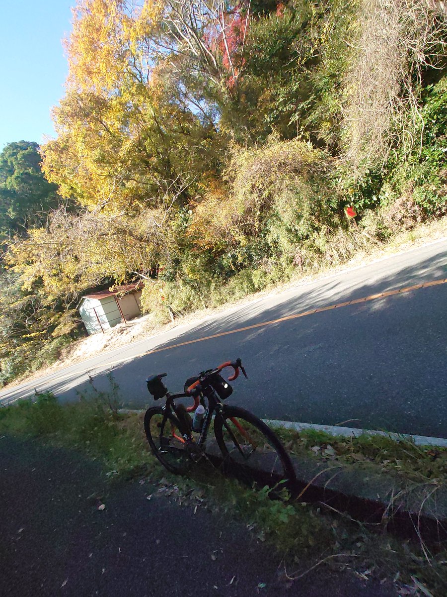 だいぶ色が付いてきた