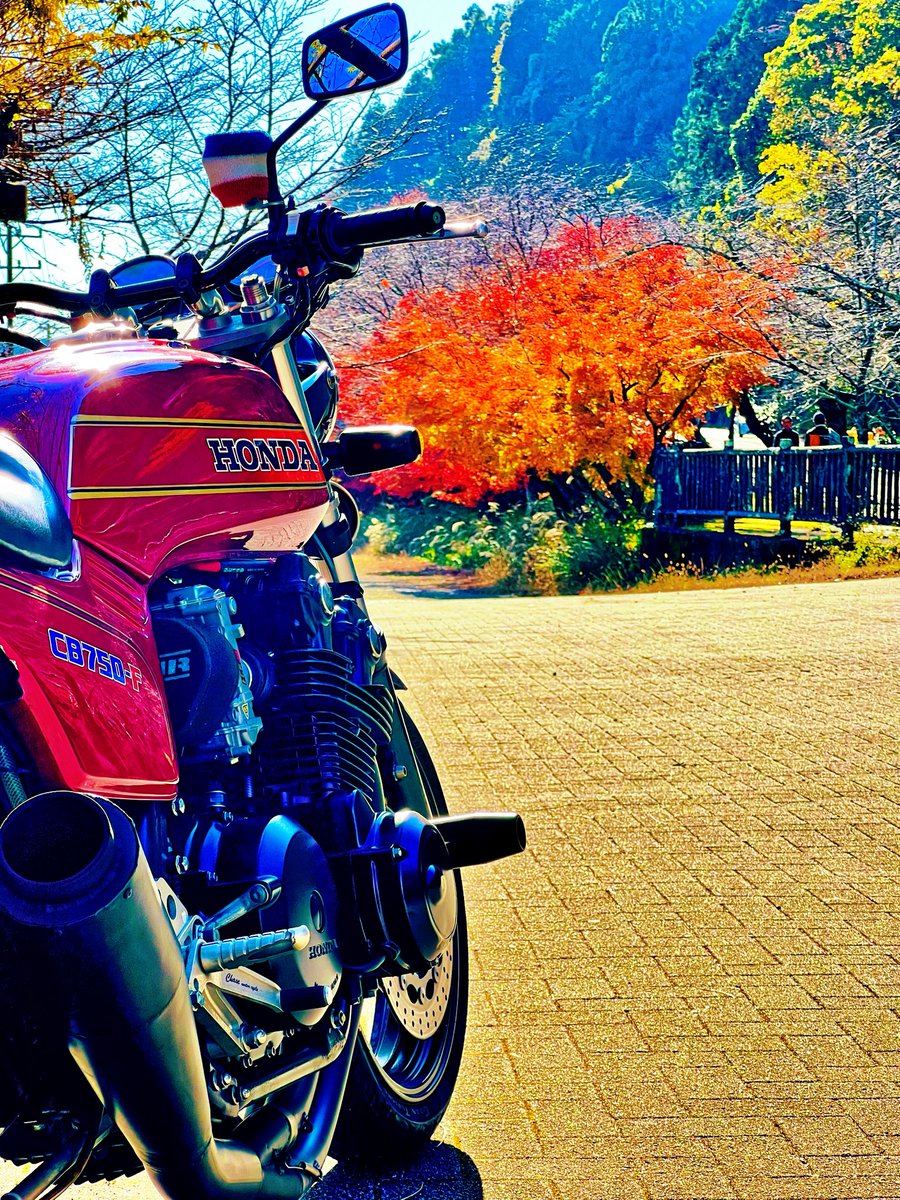 mayu (@mayutaro1102) / Posts / X