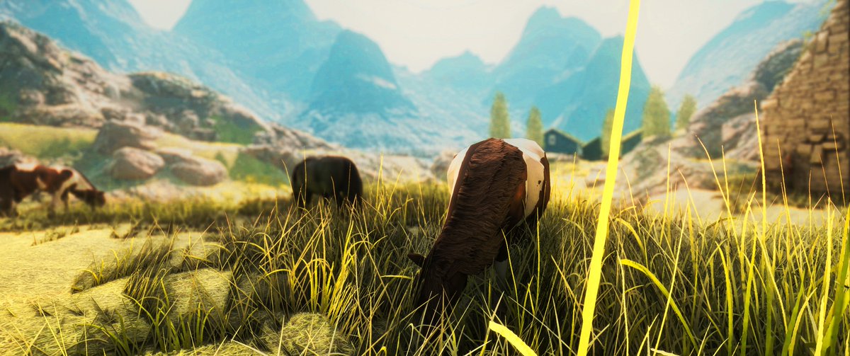 Moolly Moo🔞 tweet media