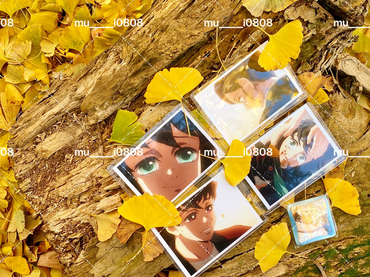 昨日🌳💛🎬🦋