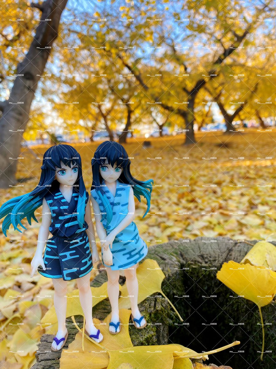 夢境の回転木馬 非売品パンフレット　昼の部　夜の部　各一部 昨日🌳💛🎬🦋