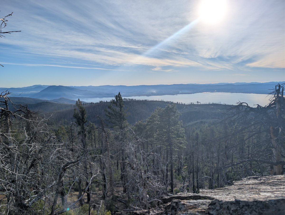 Austin is really pretty this time of year