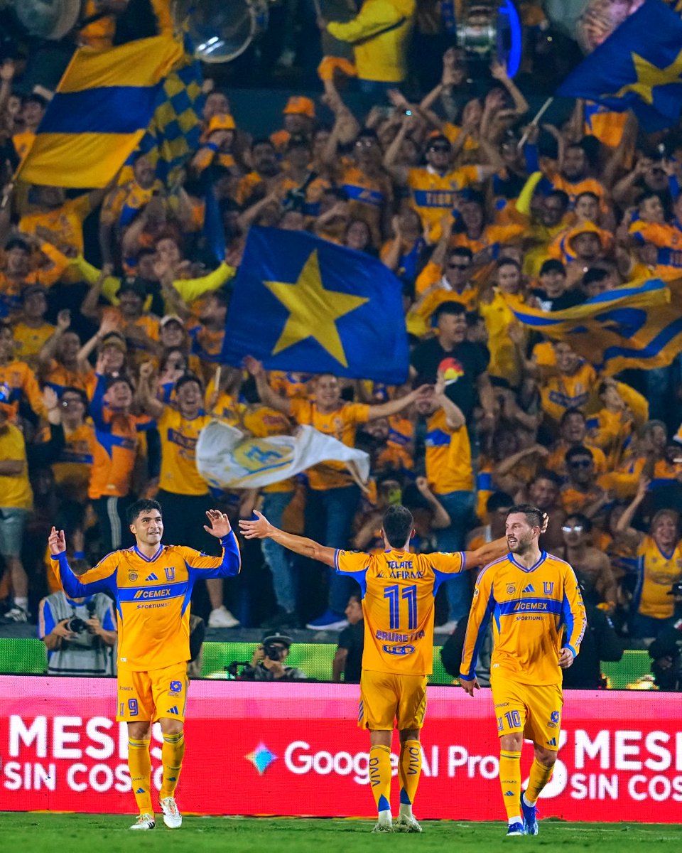 TigresOficial's tweet photo. 🫡 https://t.co/S0dqazqstk