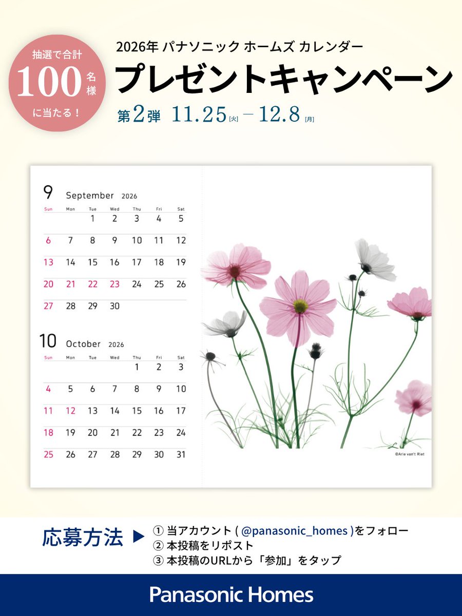 ヒーローレイワビーズ【HERO®️eiwa bs】 (@pirokichisan) / Posts / X