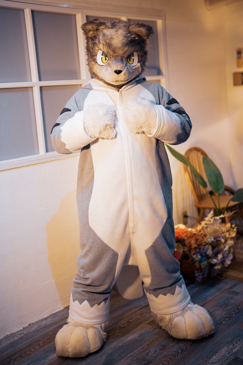 ジッポ / Jippo ➡️ ThaiTails2026 tweet media