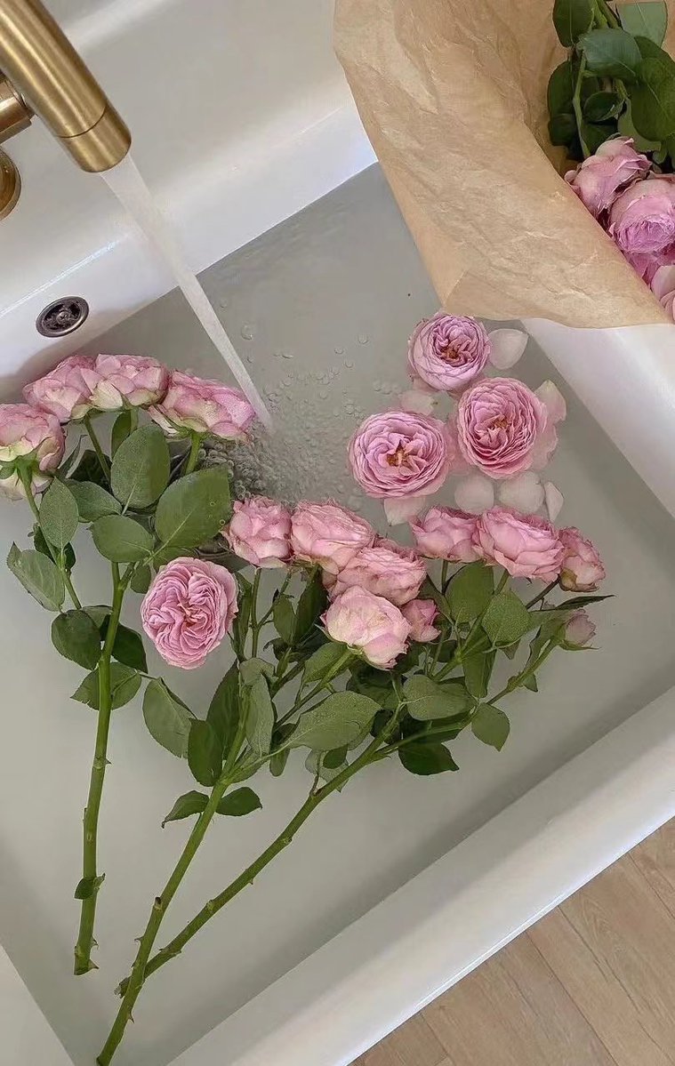 Ada902213's tweet image. 从此 我要做一个冷漠的人