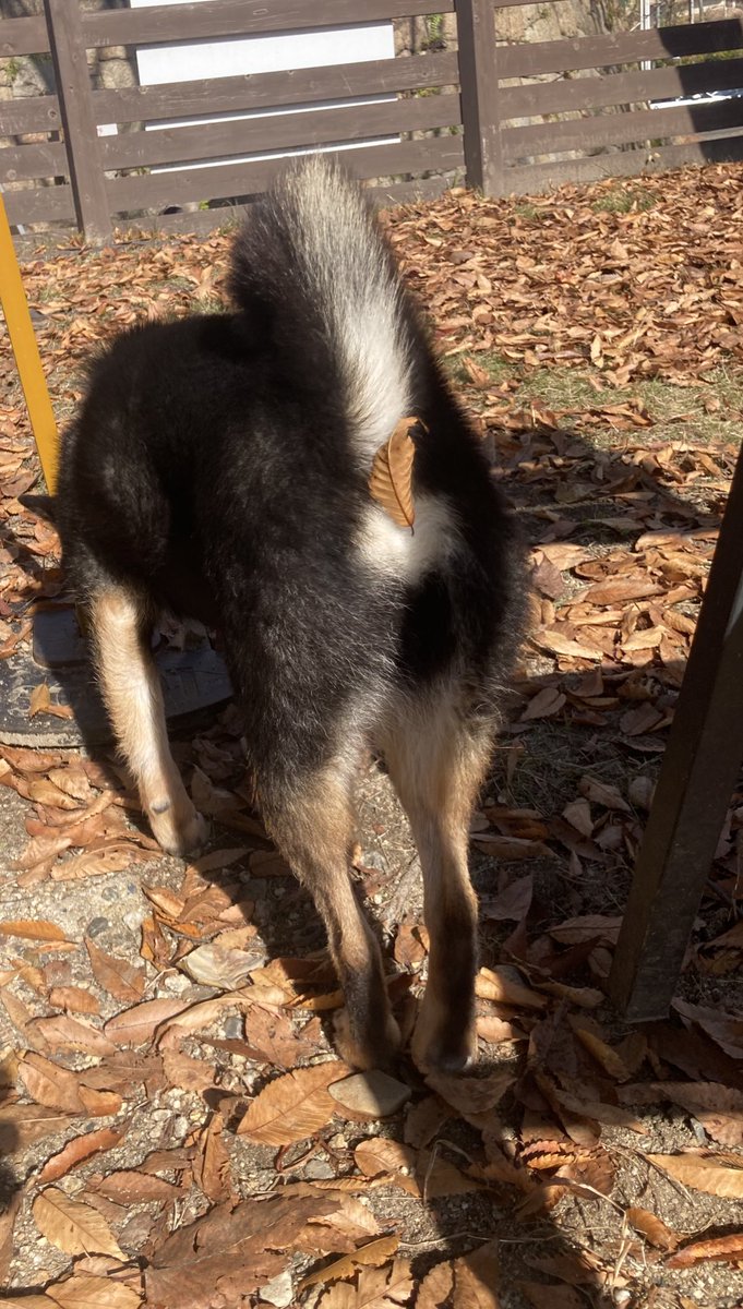 S.YOKO (@yoko01151) / Posts / X