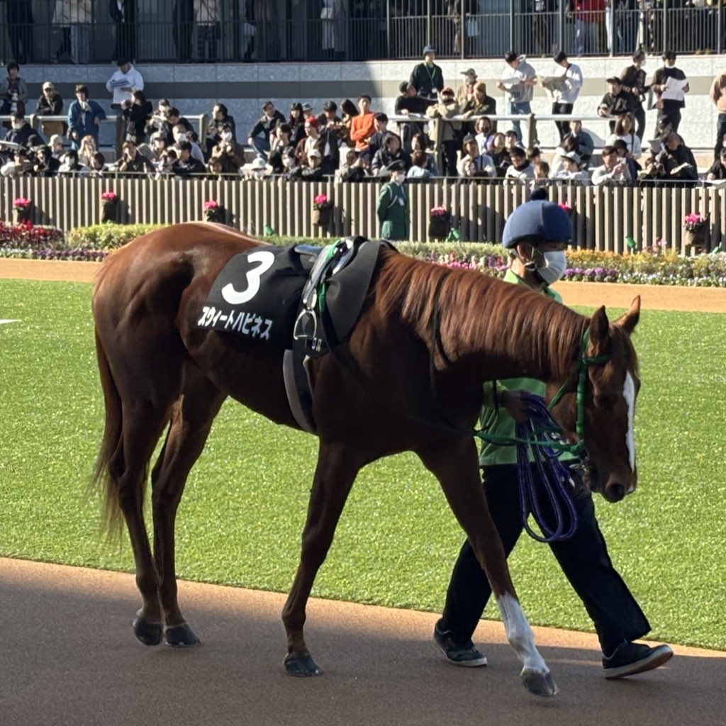 マシュマロ (@shizu_iloveyou) / Posts / X