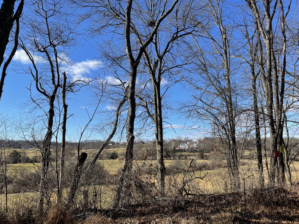 Berniewatson's tweet image. #QuarantinErin Day 2090

I can go outside, even if it’s the lowest effort and I’m barely awake