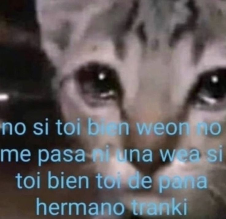 NO ME DEJA MANDAR MENSAJES JUSTO AHORA.