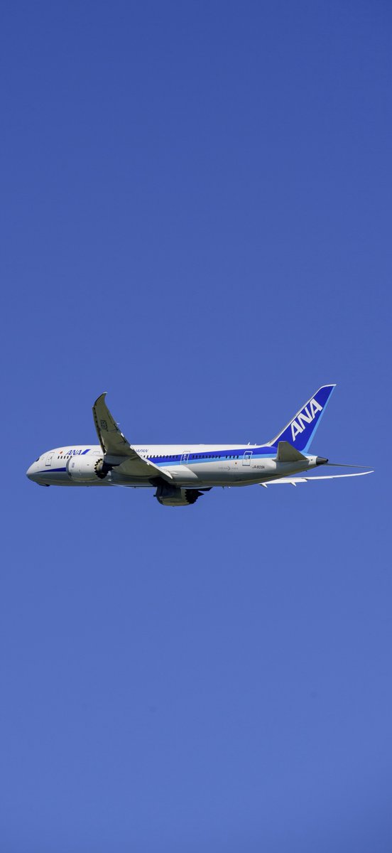 J_William9's tweet image. 雲ひとつない青空へ🛫　
ANAの787離陸シーンをキリトリ📸

🆓自由に保存してお好きなサイズで使ってください。

過去のものはハイライトにあります💁‍♀️

#wallpaper #LockScreen #壁紙