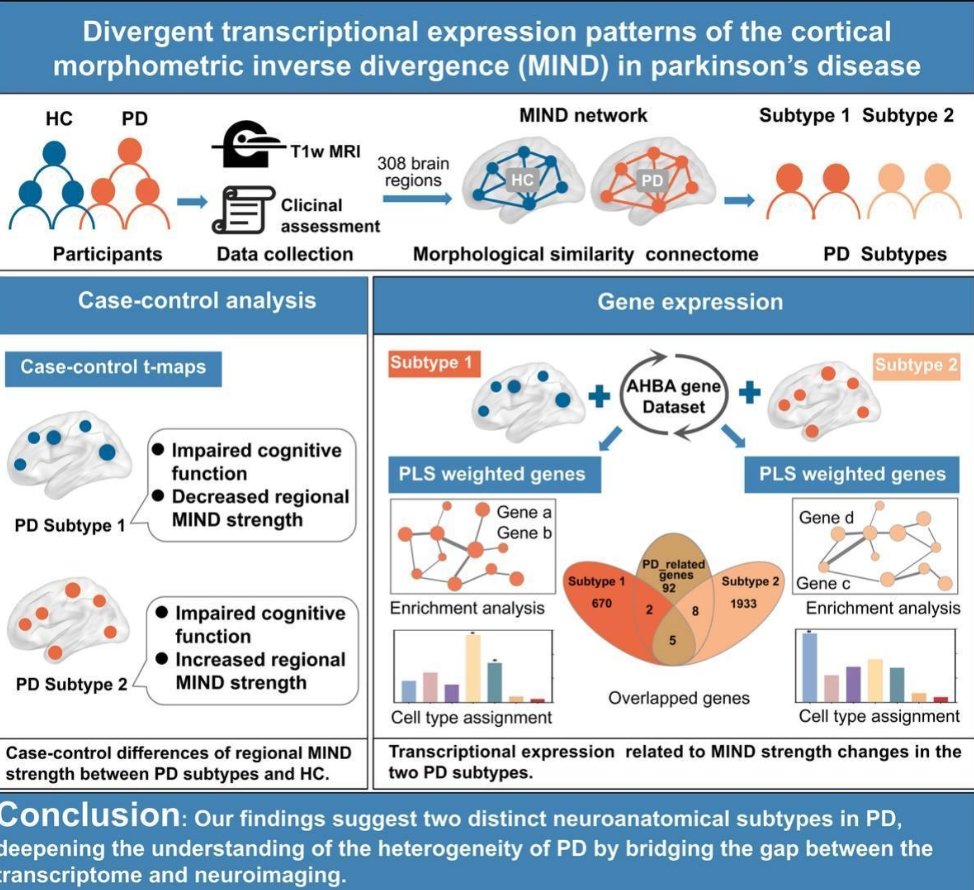 Distinct cortical morphometric inverse divergence changes in Parkinson’s disease correlate with transcriptional expression patterns

New work using neuroimaging to define putative PD subtypes

sciencedirect.com/science/articl…