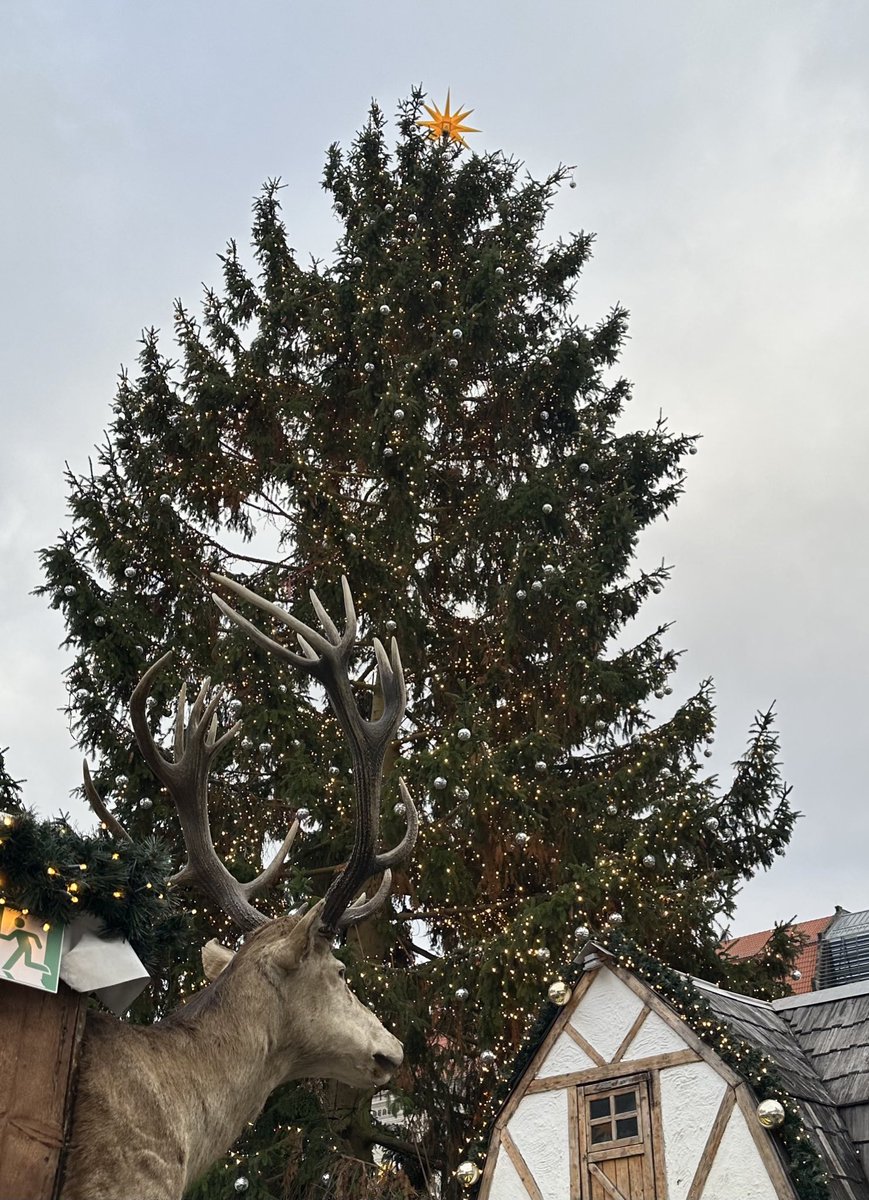 Guten Morgen, Welt
1. Advent 🕯️