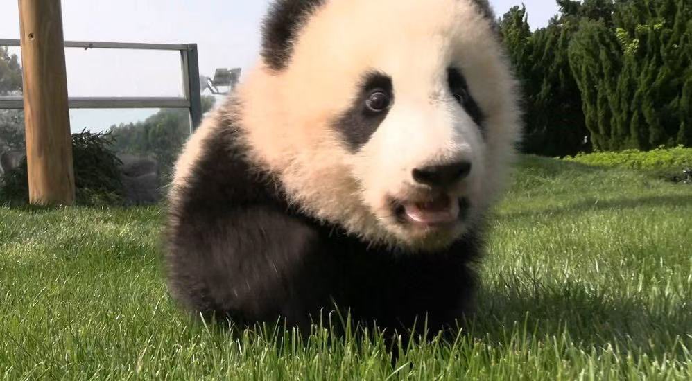 専用　シャンシャン　彩浜　楓浜 数量限定】結浜、彩浜、楓浜のとっておき特典をご用意しました