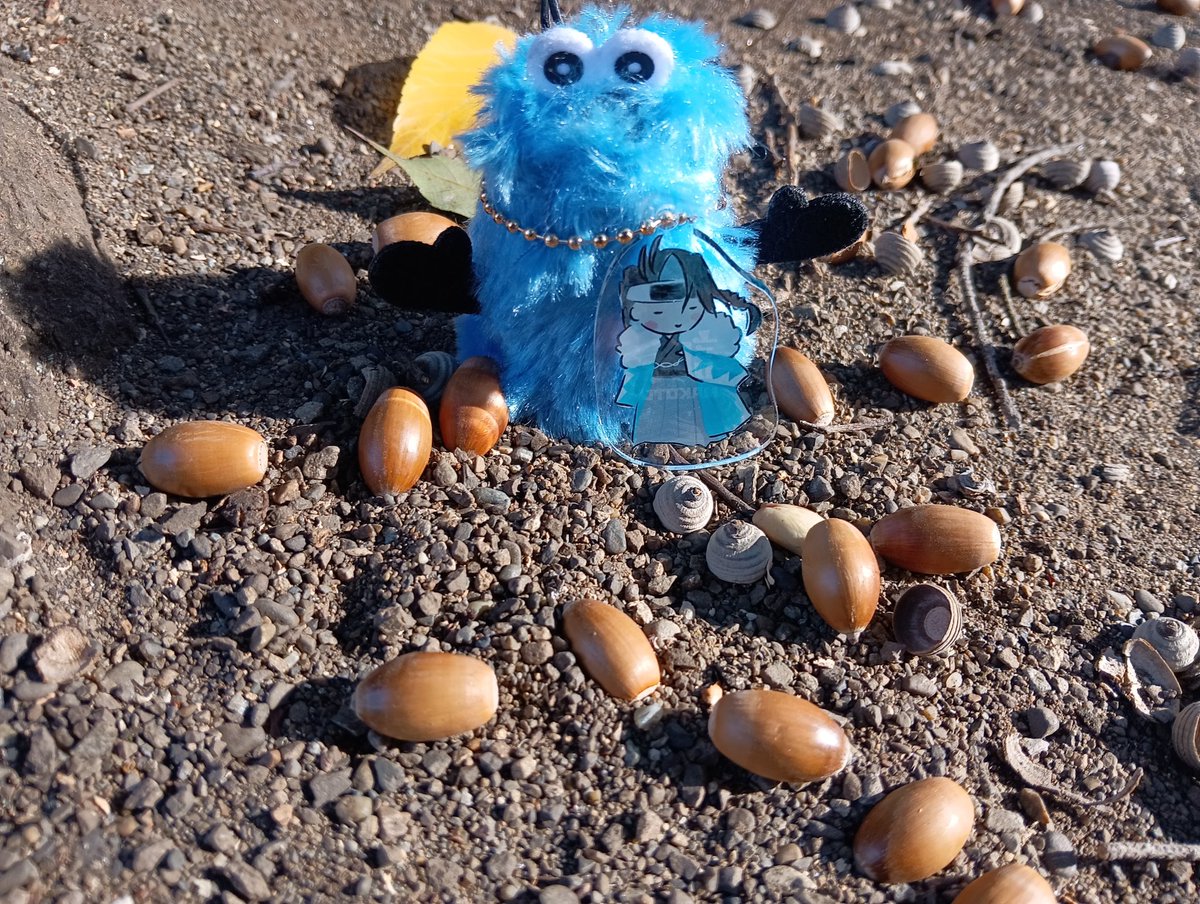 時間の都合で上石原若宮八幡神社へ いさみん、ドングリだねぇ どんぐり