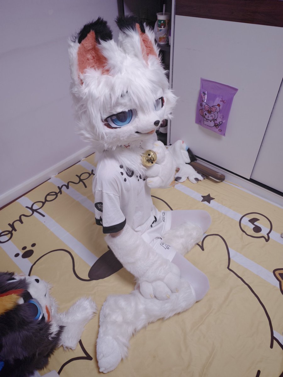 狐狸摆烂了 tweet media