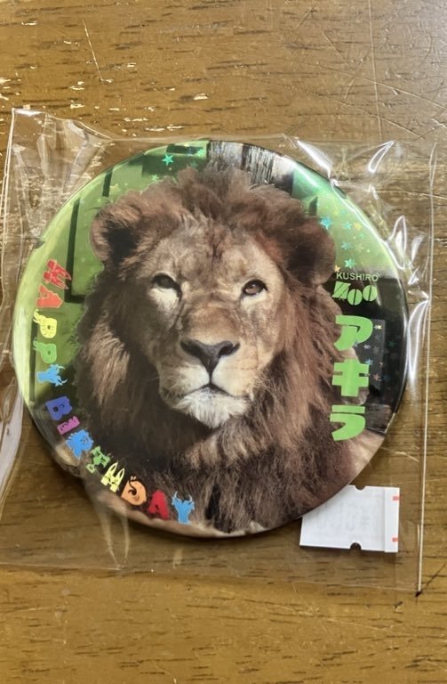 大人気アキラ🦁 Birthday缶バッジ✨🦁再販! あと残り僅か😲 欲しい方