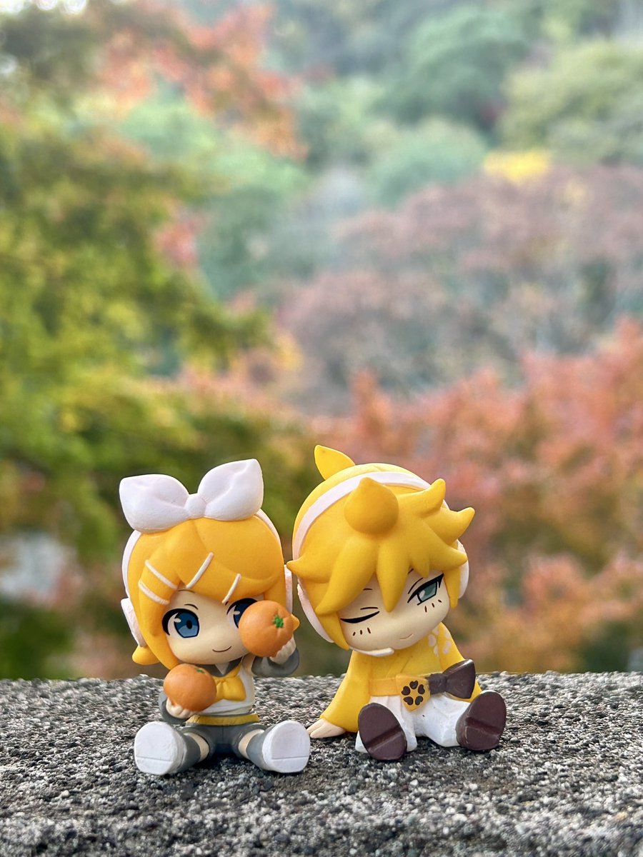 Toma(とまっち)☆彡🎹🌟🐾 (@tomato_1991) on X