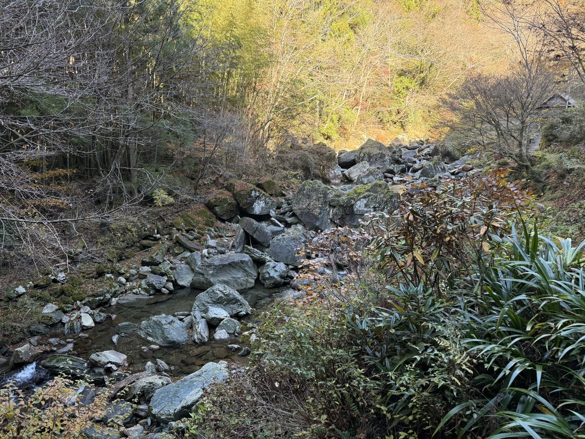 食後に散歩してたら凄い所発見してもうた👀 私有地っぽいのでこれ以上