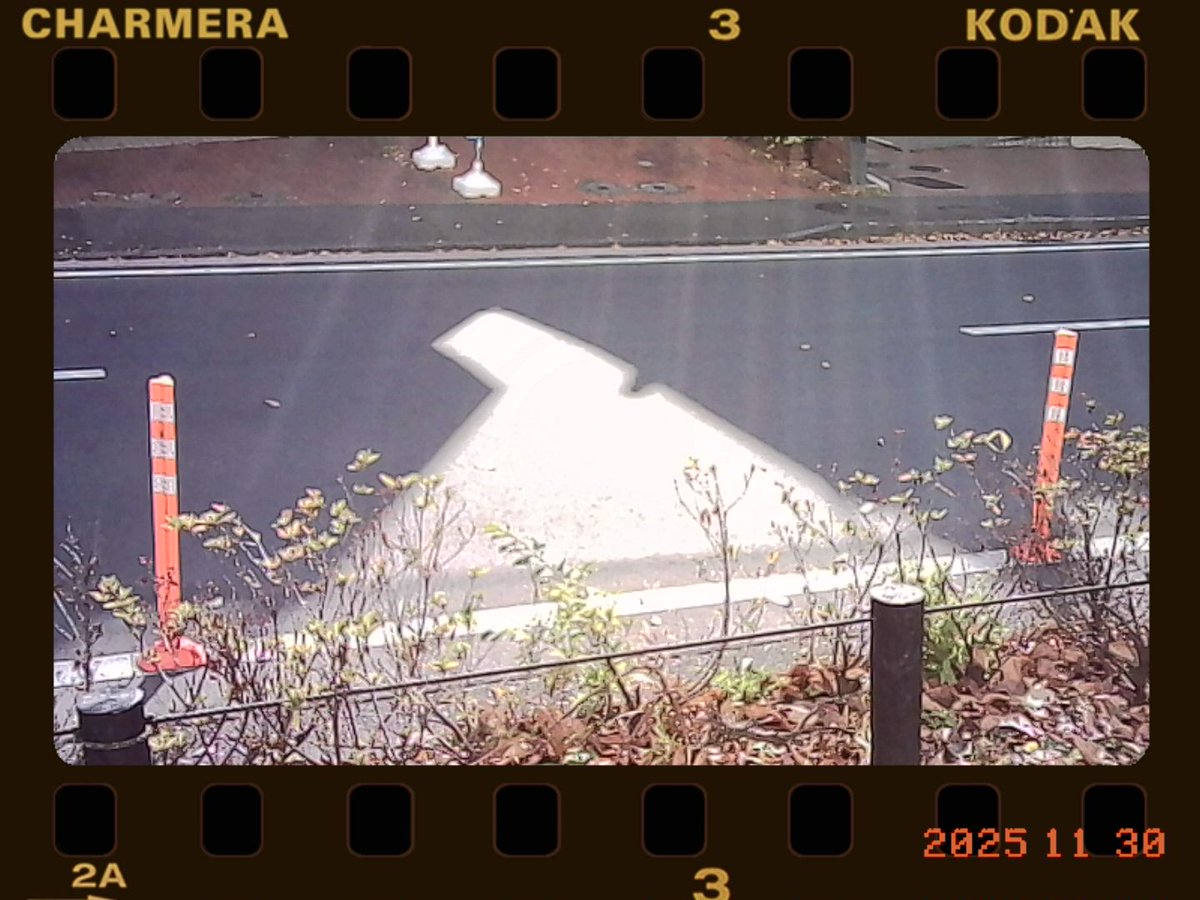 こなっこ (@KzxHana) / Posts / X