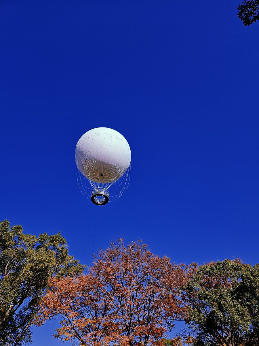 サキツルギ𓅯 (@01tsurugi17) / Posts / X