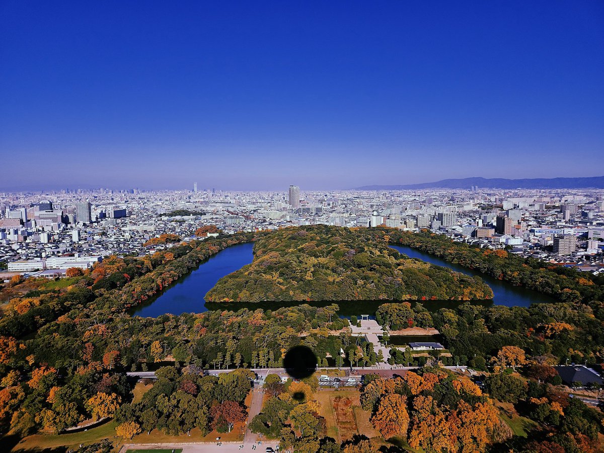 サキツルギ𓅯 (@01tsurugi17) / Posts / X