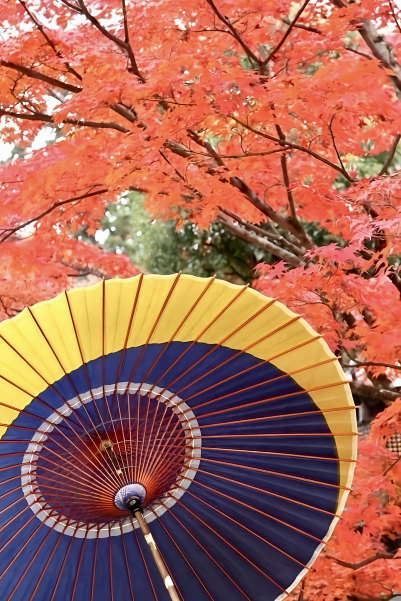 タナカ様⭐︎京都辻倉　和傘 タナカ様⭐︎京都辻倉 和傘 タナカ様⭐︎京都辻倉 和傘 タナカ様