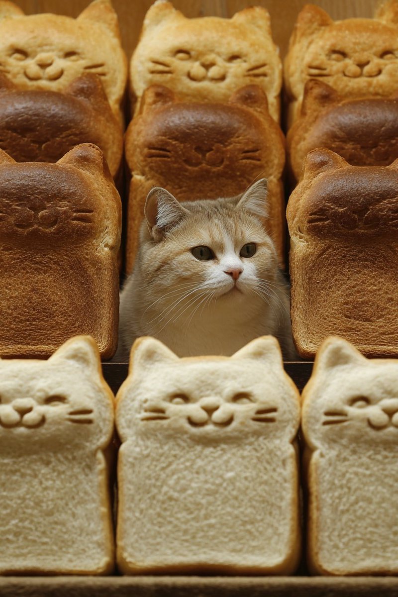 gurispega's tweet image. 