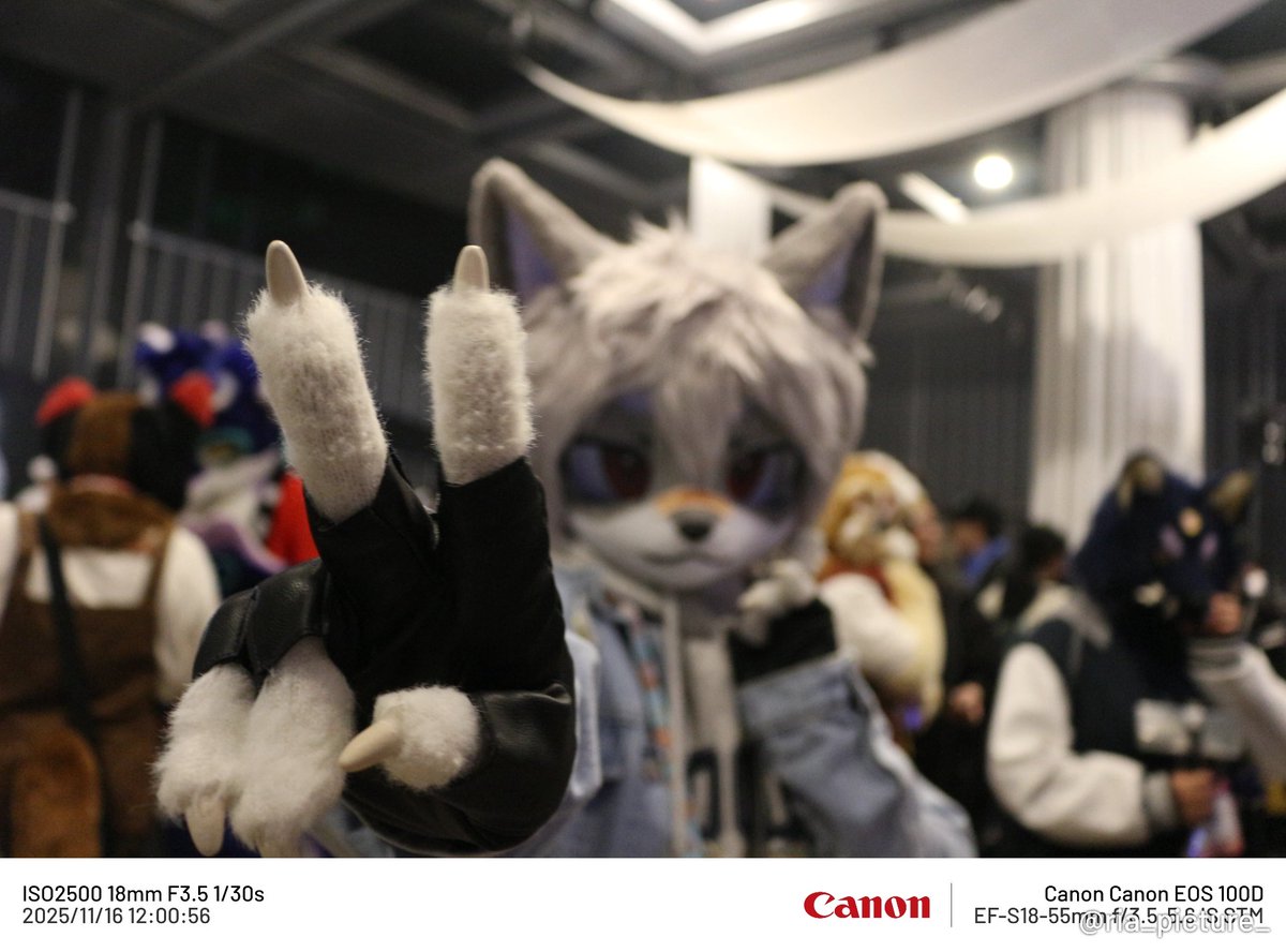 <a href="/XINYU_FUR/">신유 シンユー</a>