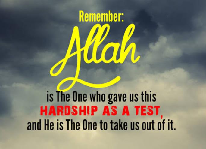 Struggling with a test? Remember, even hardship is a sign of Allah’s care. The Prophet ﷺ said, ‘When Allah loves a servant, He tests him.’ (Tirmidhi)

Every difficulty carries wisdom, every trial purifies. Stay patient, what’s written for you is always better than what you want.