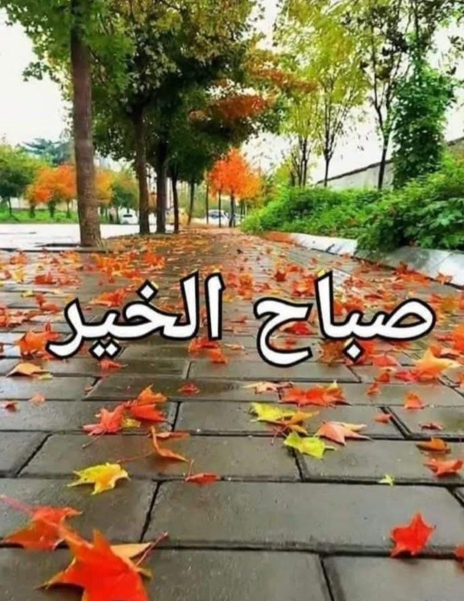 احد مبارك عليكم 🙏