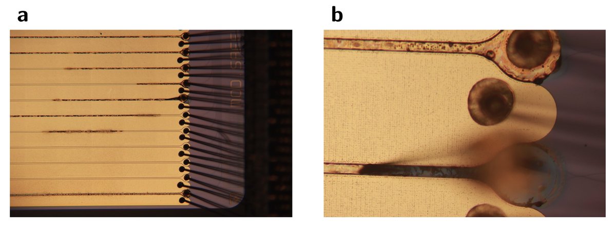 jwt0625's tweet image. hell yeah another one
Christen2025: [An integrated photonic engine for programmable atomic control](doi.org/10.1038/s41467…)