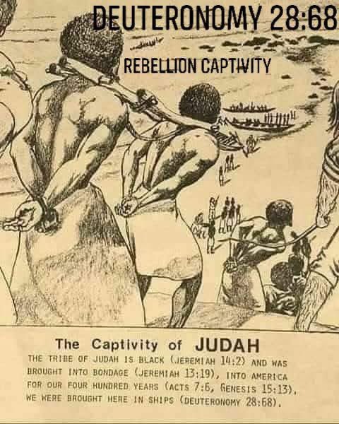 YeshaYahu [Isaiah] 1:2-3
[2] Hear, O Heavens, And Give Ear, O Earth: For YAHUAH Hath Spoken, I Have Nourished And Brought Up Children, And They Have Rebelled Against Me.
[3] The Ox Knoweth His Owner, And The Ass His Master's Crib: But Yashar'al [Israel] Doth Not Know, My People