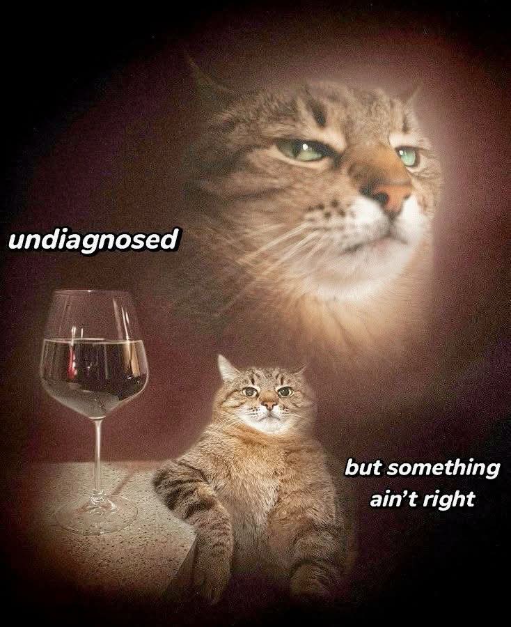 NoNonsenseND's tweet image. 