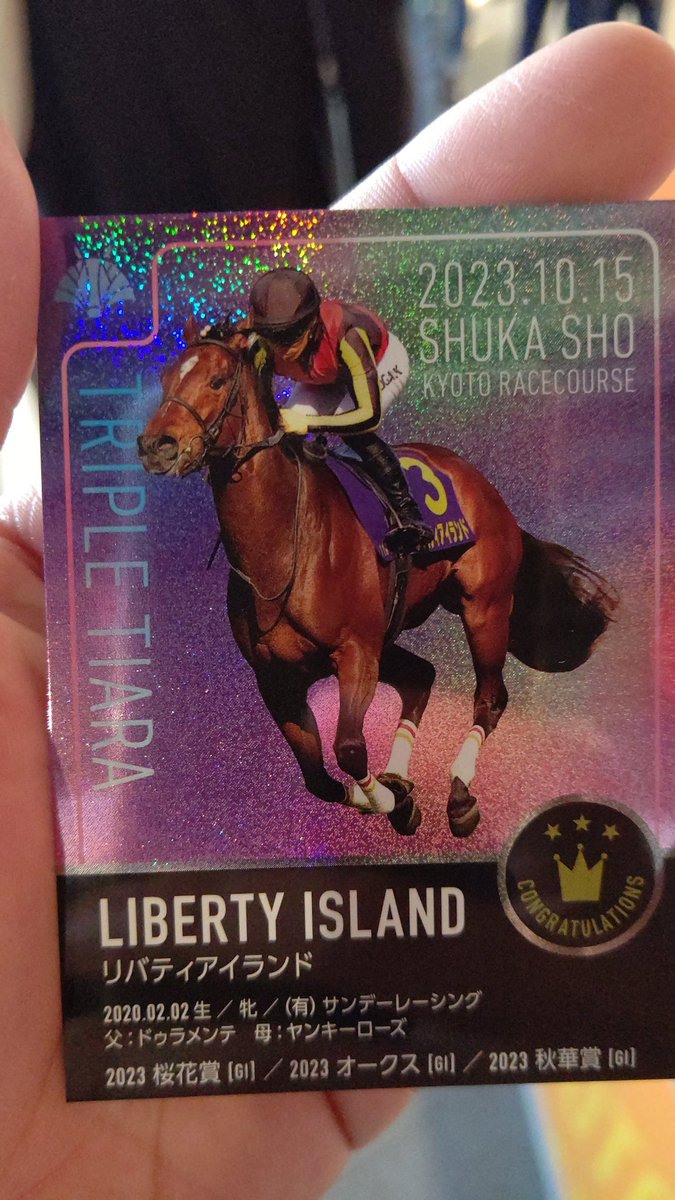 京都競馬場100周年ラストメッセージ リバティアイランド三冠達成の瞬間