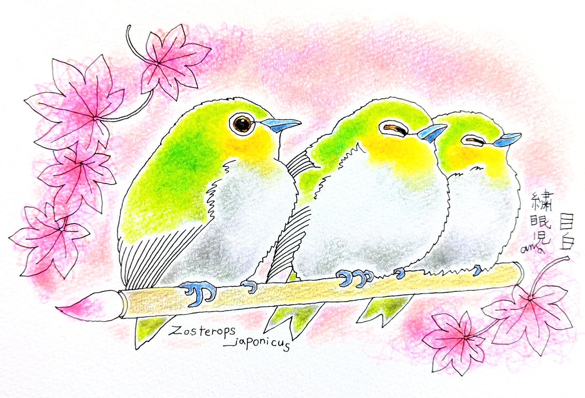 こんにちは。 11月も沢山絵を見てくださり 有難うございました。 心