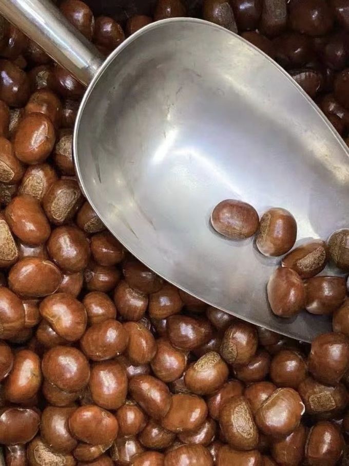 AAnanthkumar7's tweet image. 下班路过巷口，刚出炉的糖炒栗子香得勾脚！热乎的壳一捏就碎，糖霜裹得匀匀的，咬开是糯叽叽的甜，揣一袋在兜儿里，暖手又暖心～谁懂啊